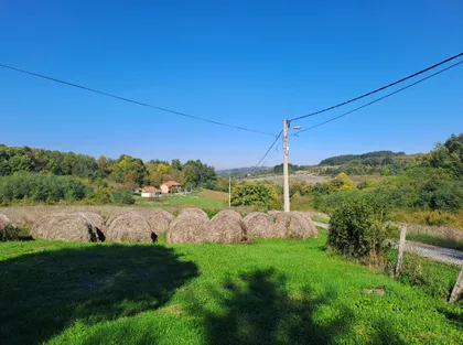 Pavla Radomana | 4zida.rs