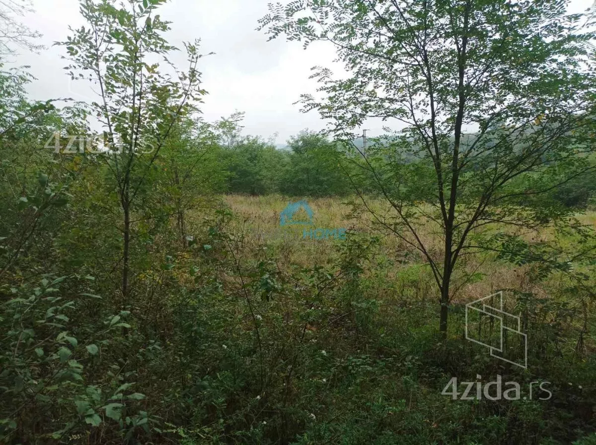 Plac | 4zida
