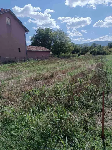 Vrnjci
