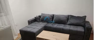 Svetozara Radojčića