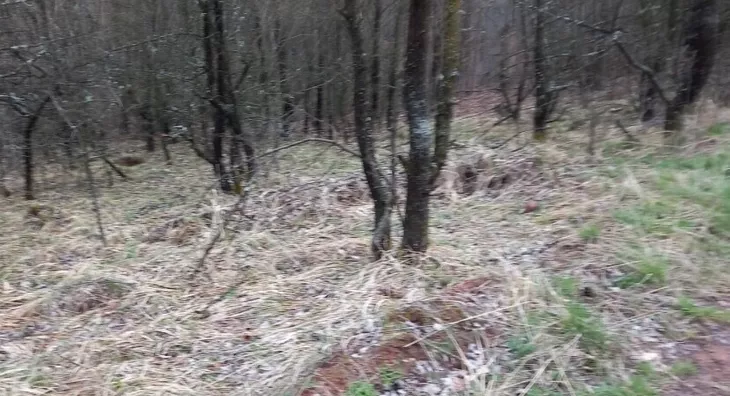 Poljoprivredno zemljište | 4zida