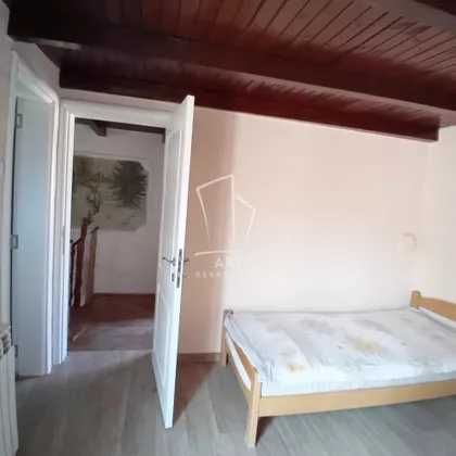 Peka Pavlovića | 4zida.rs