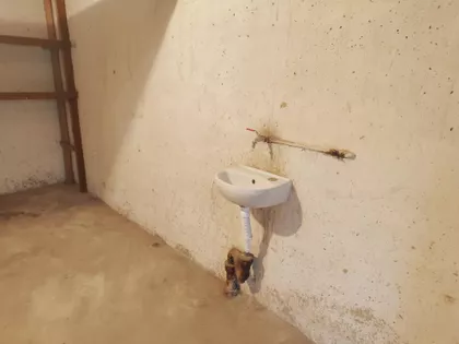 Marine Veličković | 4zida.rs