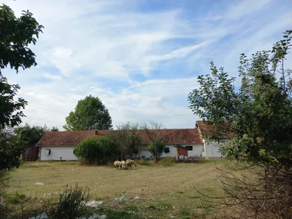 Dragoljuba Petrovića-Timošenka | 4zida.rs