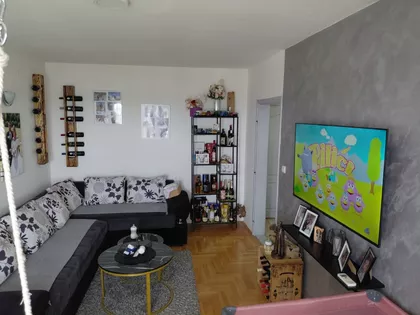 Daničićeva 91B | 4zida.rs