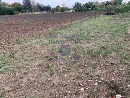 Čenej | 4zida.rs