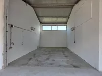 Hala | 4zida