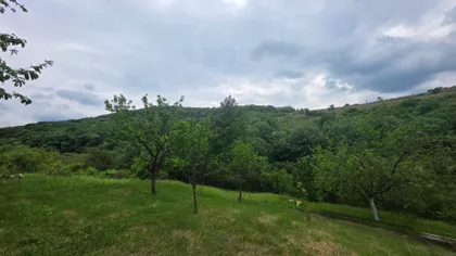 Dumbovo | 4zida.rs