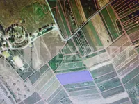 Crveni Krst, Gradske lokacije, Niš | 4zida.rs