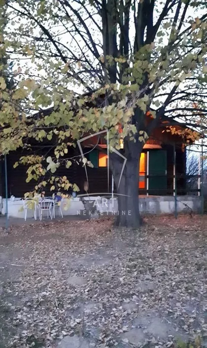 Ljubomira Ivkovića Šuce | 4zida.rs