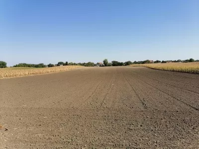 Mali Bajmok | 4zida.rs