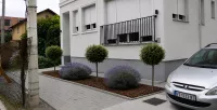 Adamovićevo Naselje, Gradske lokacije, Novi Sad | 4zida.rs | 4zida.rs