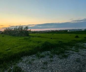Pukovnika Krste Smiljanića 4A | 4zida.rs