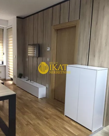 Dr Dragoslava Zeke Smiljanića | 4zida.rs