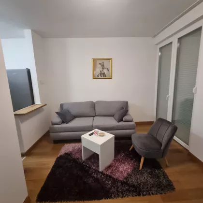 Cara Lazara 33 | 4zida.rs