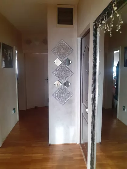 Žike Mesarovića | 4zida.rs