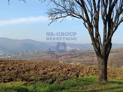 Rivički Put 30 | 4zida.rs