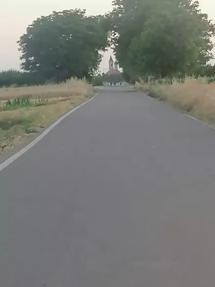 Fenečka | 4zida.rs