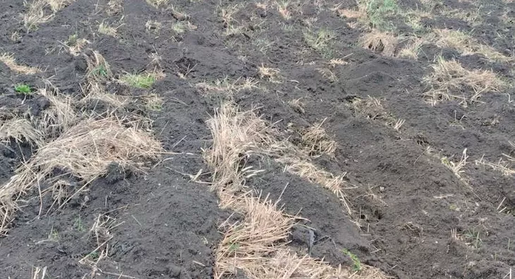 Poljoprivredno zemljište | 4zida