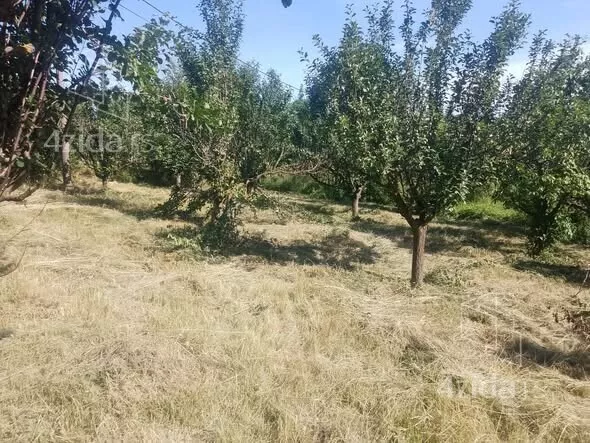 Poljoprivredno zemljište | 4zida