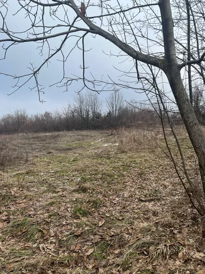 Dragobraća | 4zida.rs