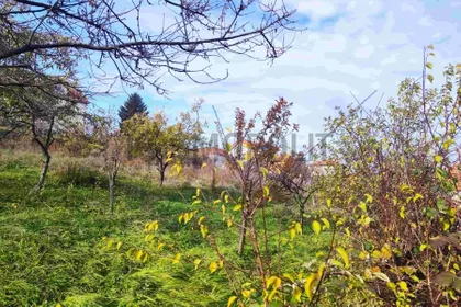 Palih boraca | 4zida.rs