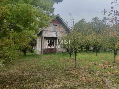 Ilije i Ivana Trifunovića | 4zida.rs