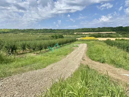 Vrdnik | 4zida.rs