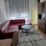 Liman, Gradske lokacije, Novi Sad | 4zida.rs | 4zida.rs