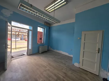 Senćanski put | 4zida.rs