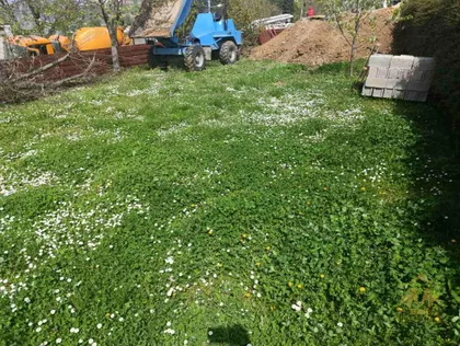 Petrovaradin | 4zida.rs