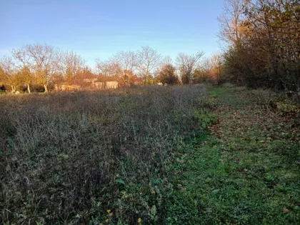 Veliki Borak | 4zida.rs