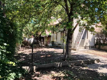 Petra Drapšina | 4zida.rs