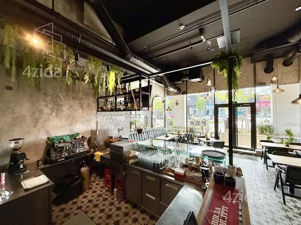 Lokal | 4zida