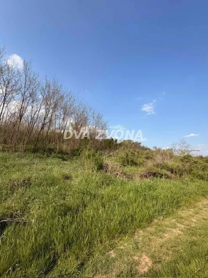 Čortanovci | 4zida.rs