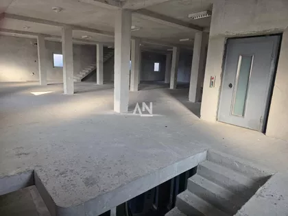 Bežanijskih ilegalaca | 4zida.rs