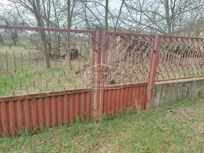 4. jula Kelebija | 4zida.rs