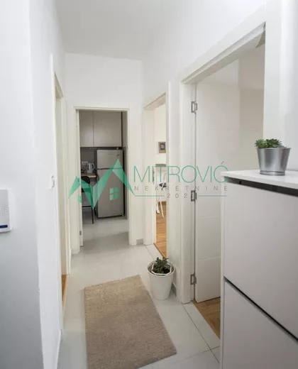 Rotkvarija | 4zida.rs