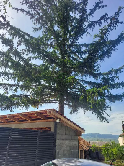 Dušana Jovića 37 | 4zida.rs