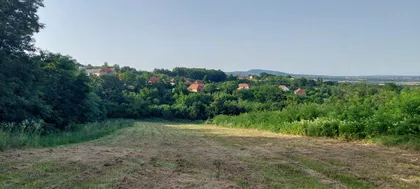 Drenovačka | 4zida.rs
