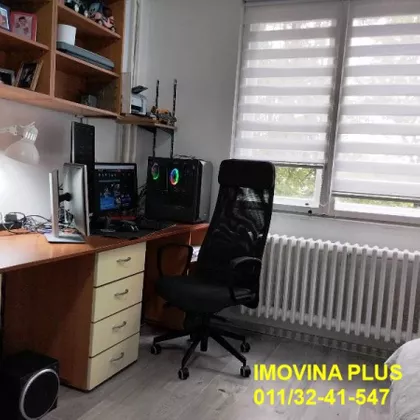 Darinke Radović | 4zida.rs