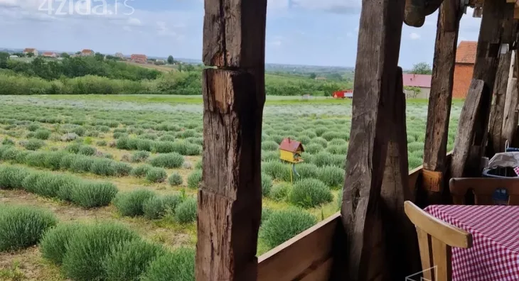 Poljoprivredno zemljište | 4zida