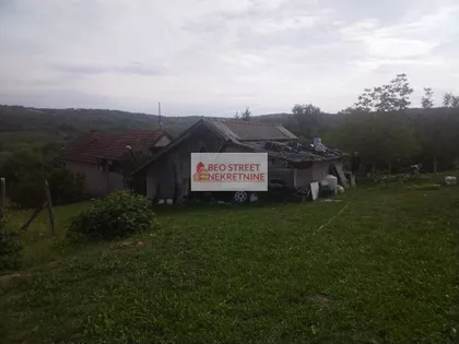 Senaja | 4zida.rs