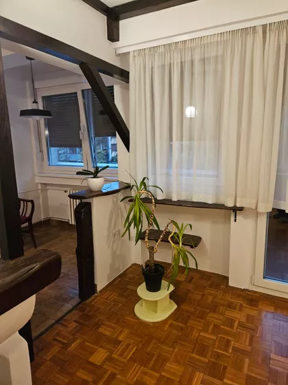 Mis Irbijeve | 4zida.rs