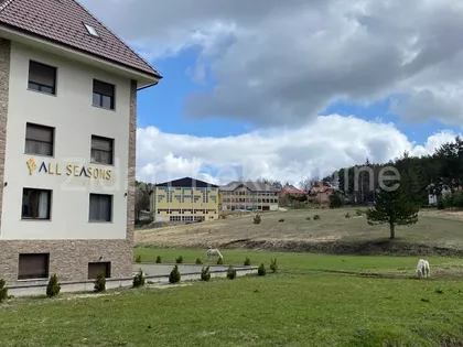 Panta Mijailovića | 4zida.rs