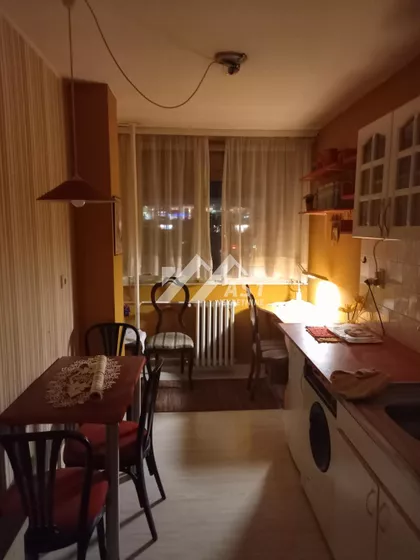 Dr Ivana Ribara | 4zida.rs