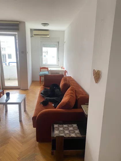 Cara Dušana | 4zida.rs