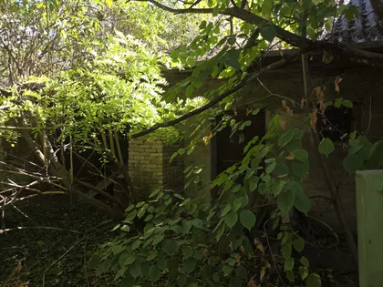 Ive Lole Ribara | 4zida.rs