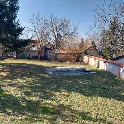 Mihajla Pupina | 4zida.rs