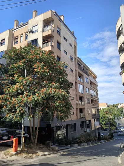 Jovana Ćirilova 15 | 4zida.rs